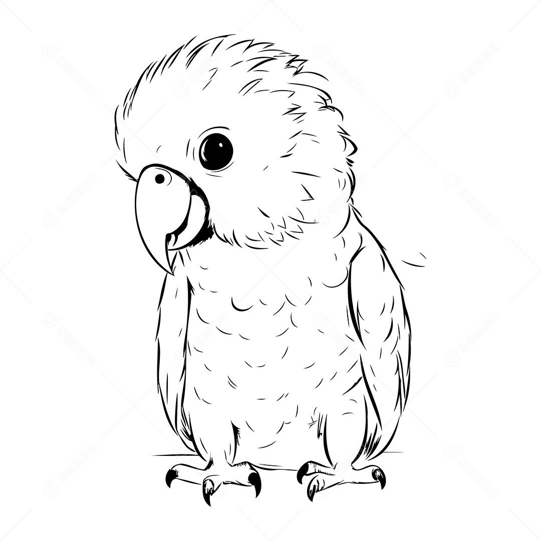 Pássaro Desenho Para Colorir Vetor EPS