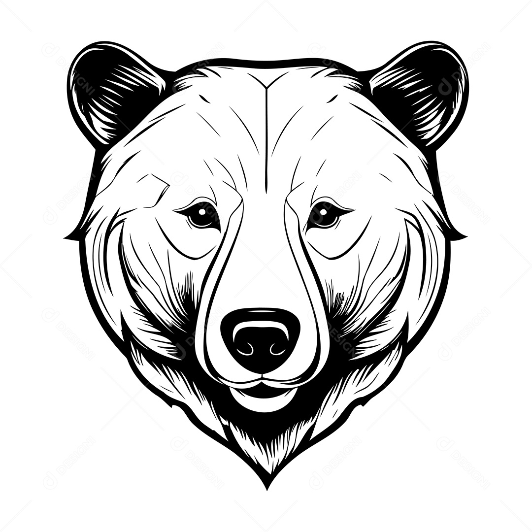 Urso Desenho Para Colorir Vetor EPS