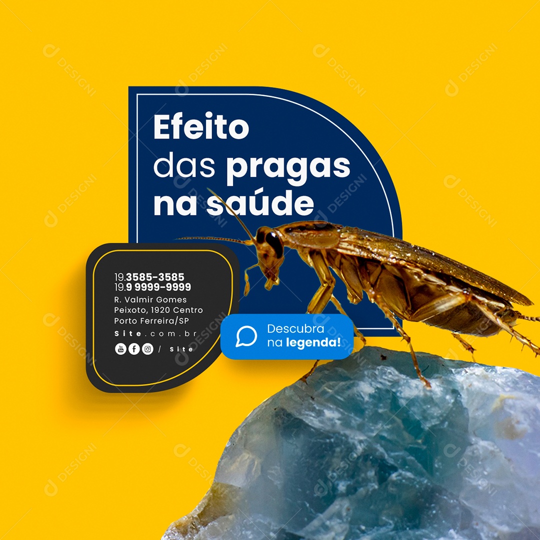 Dedetização Efeito das Pragas na Saúde Descubra na Legenda Social Media PSD Editável