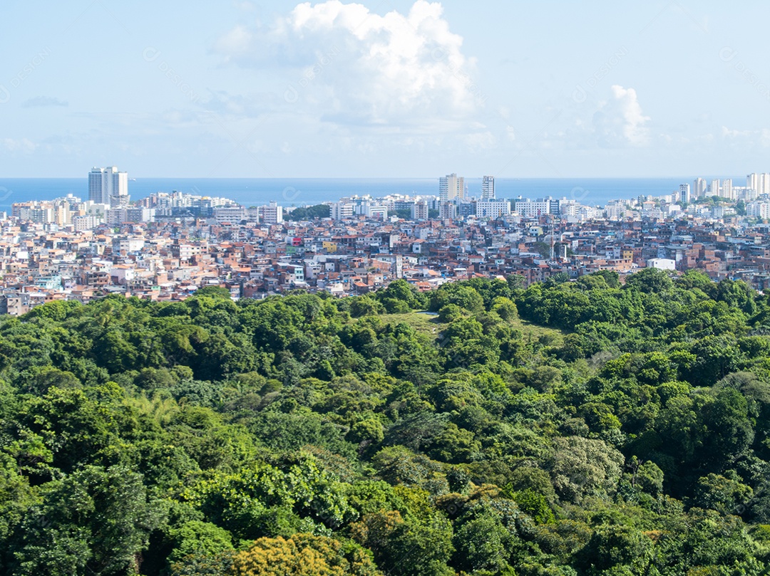Contraste Social na cidade prédios e favelas