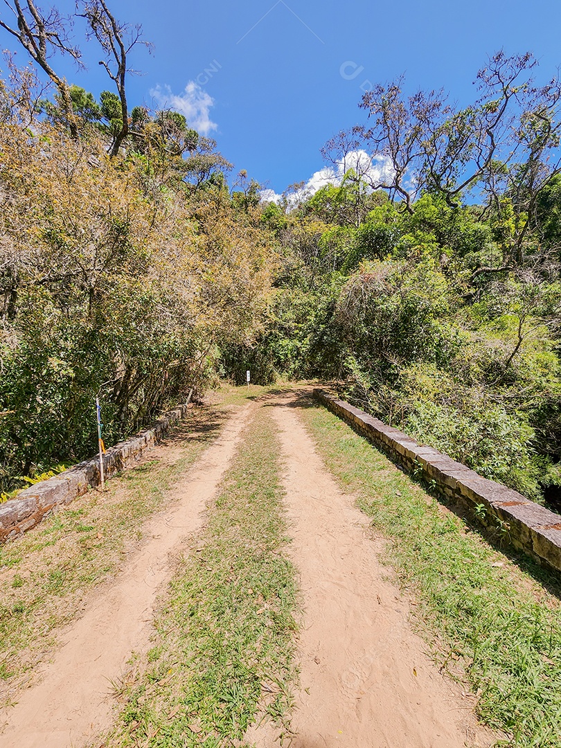 Estrada de terra em uma área rural