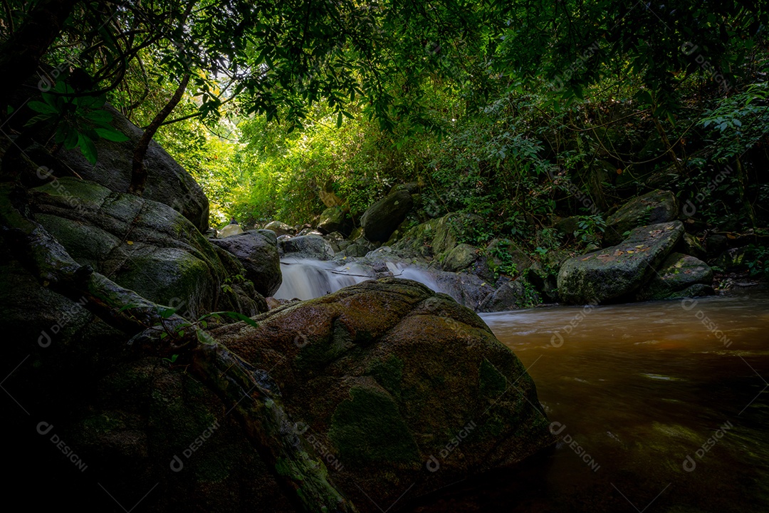 Cachoeira fluindo na selva