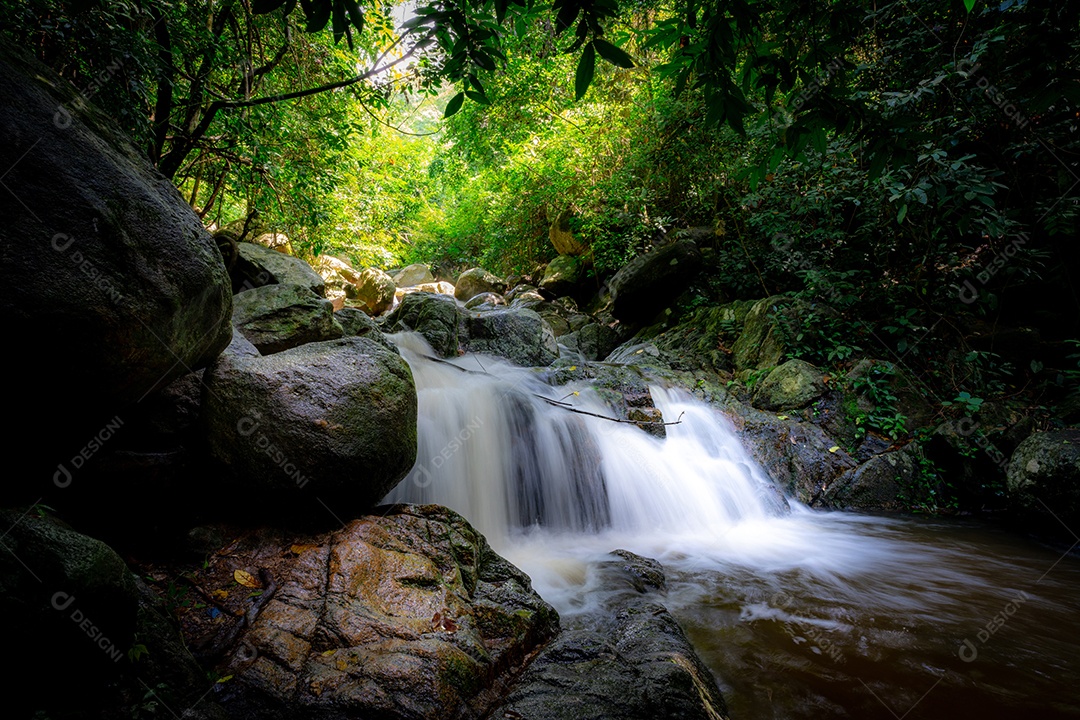 Cachoeira fluindo na selva