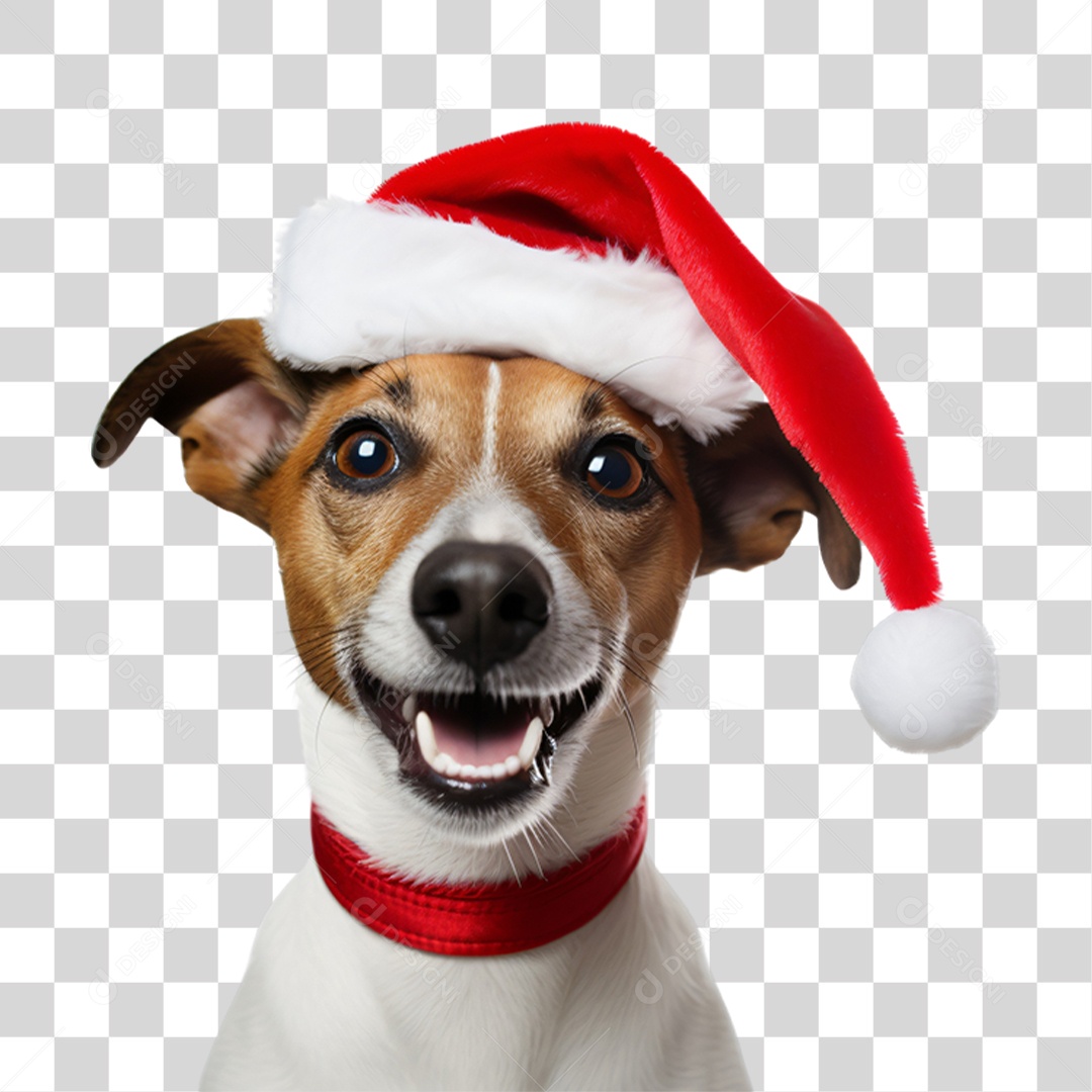 Cachorro com Fantasia de Papai Noel PNG Transparente