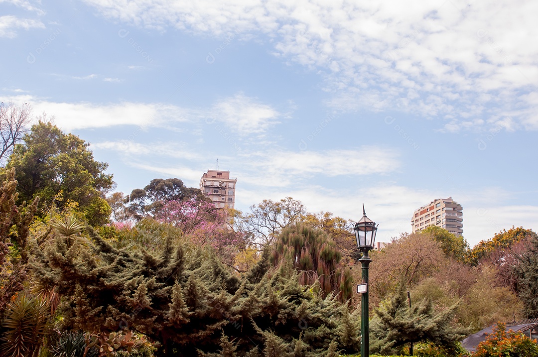Floresta contrastando com a cidade ao fundo