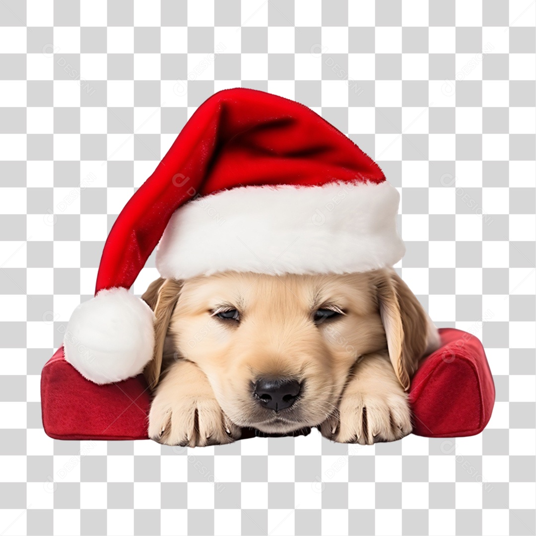 Cachorro com Gorro Natalino Para Comemoração de Natal PNG Transparente