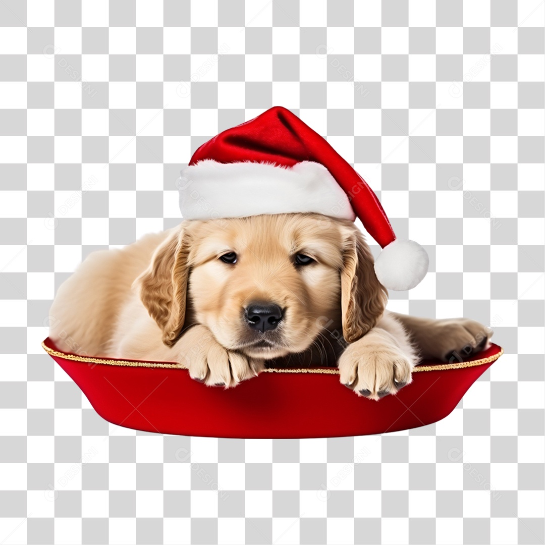 Cachorro com Gorro Natalino Para Comemoração de Natal PNG Transparente