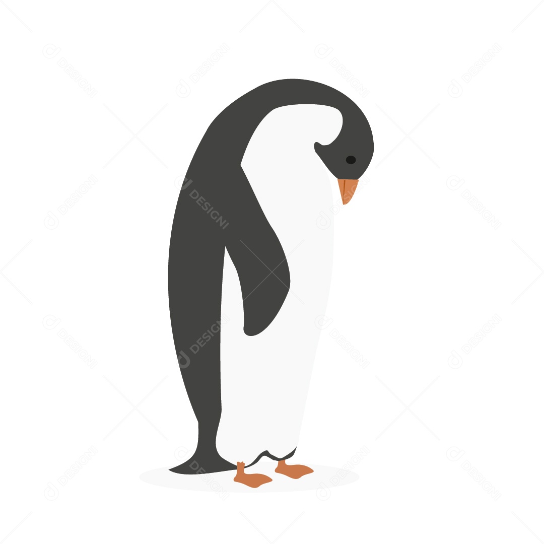 Pinguim Ilustração Vetor EPS