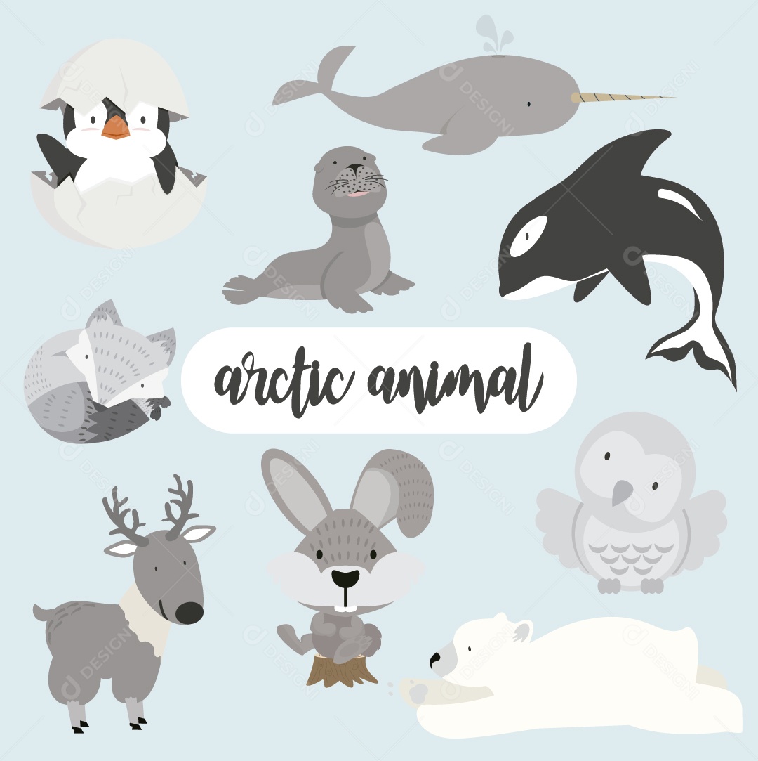 Animais Árticos Ilustração Vetor EPS