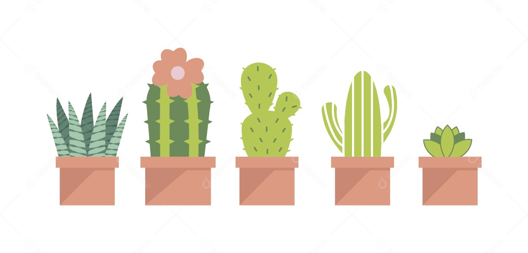 Vários Tipos de Cactos Ilustração Vetor EPS