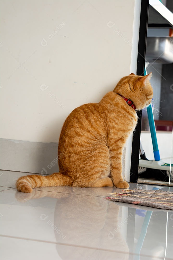 Gato malhado laranja dormindo na cama
