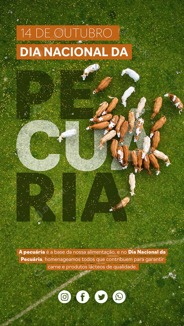 Story Dia Nacional Da Pecuária 14 De Outubro Social Media PSD Editável