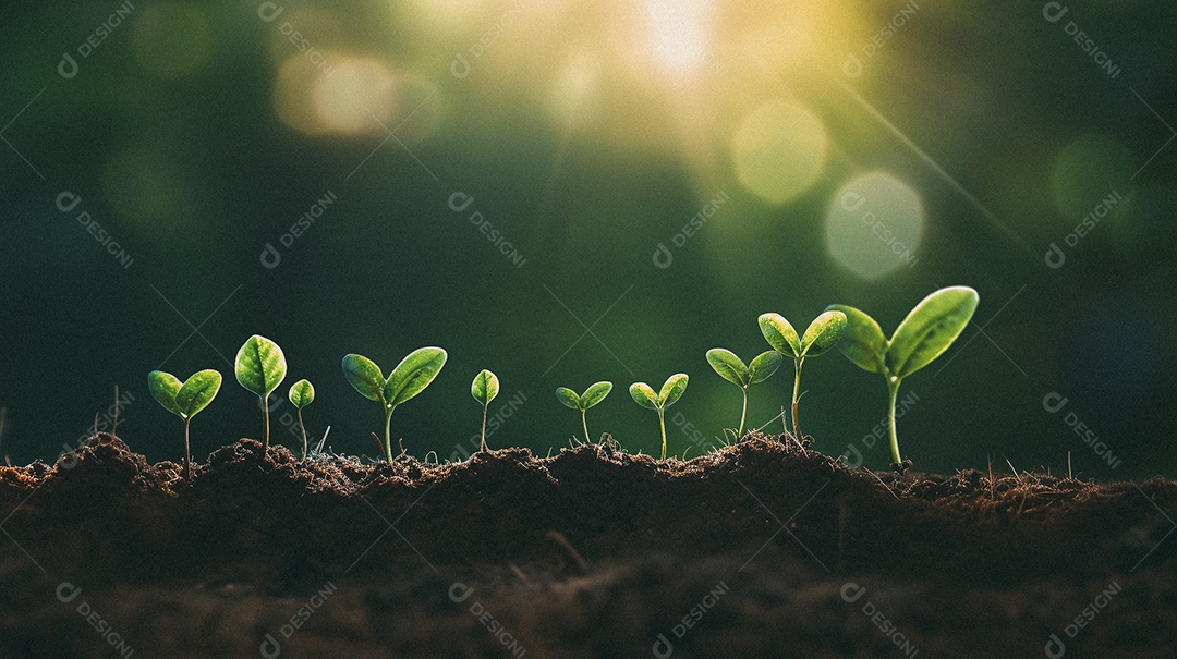 Mudas de plantas crescendo sobre fundo desfocado