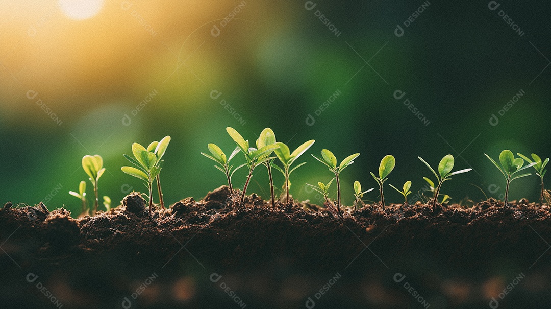 Mudas de plantas crescendo sobre fundo desfocado
