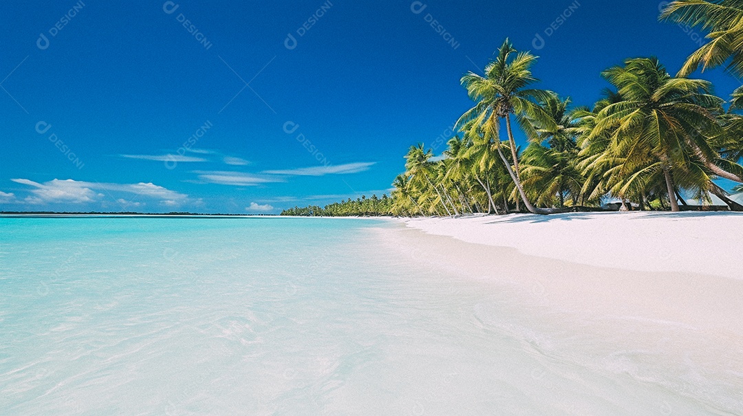 Praia tropical e palmeiras, Maldivas, Oceano Índico