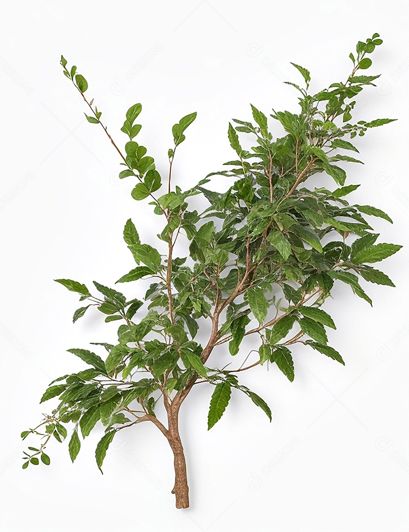 Fundo de ilustração de Natal