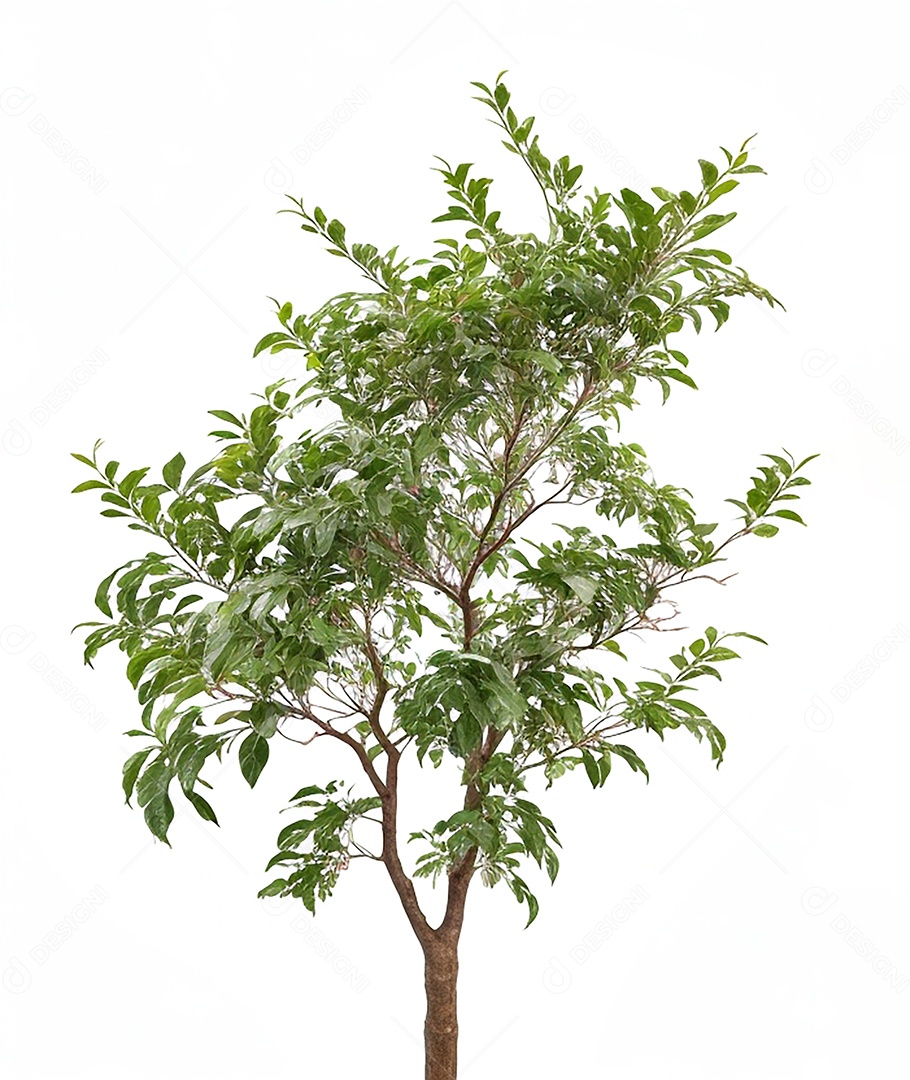 Fundo de ilustração de Natal