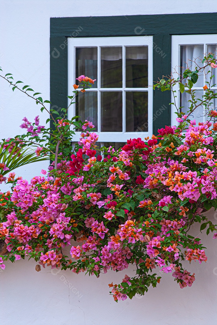 Flores em uma fachada de uma casa