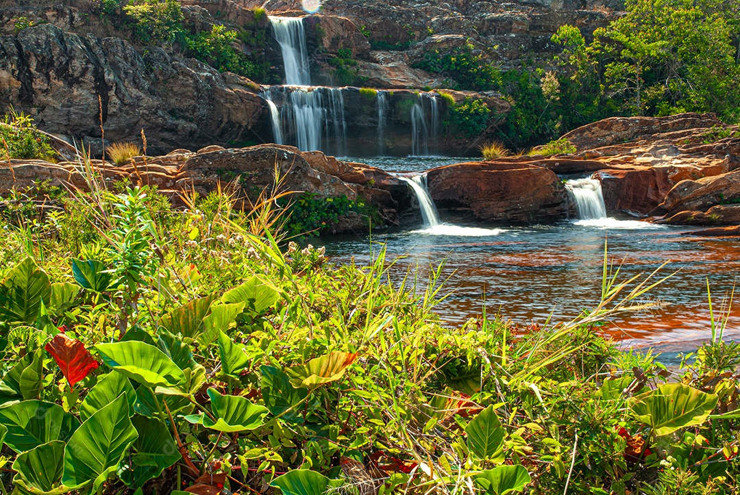 Linda cachoeira sobre floresta