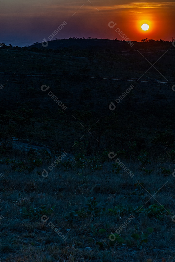 Linda paisagem floresta