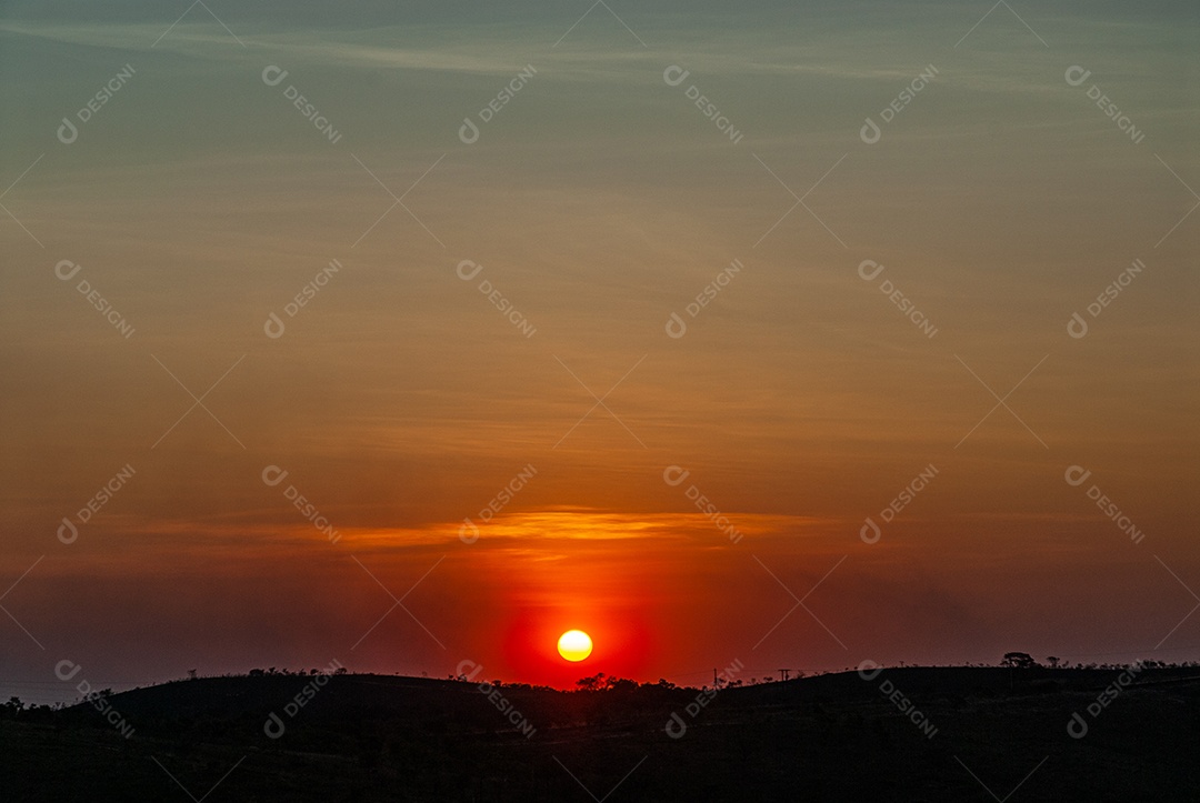 Linda paisagem floresta