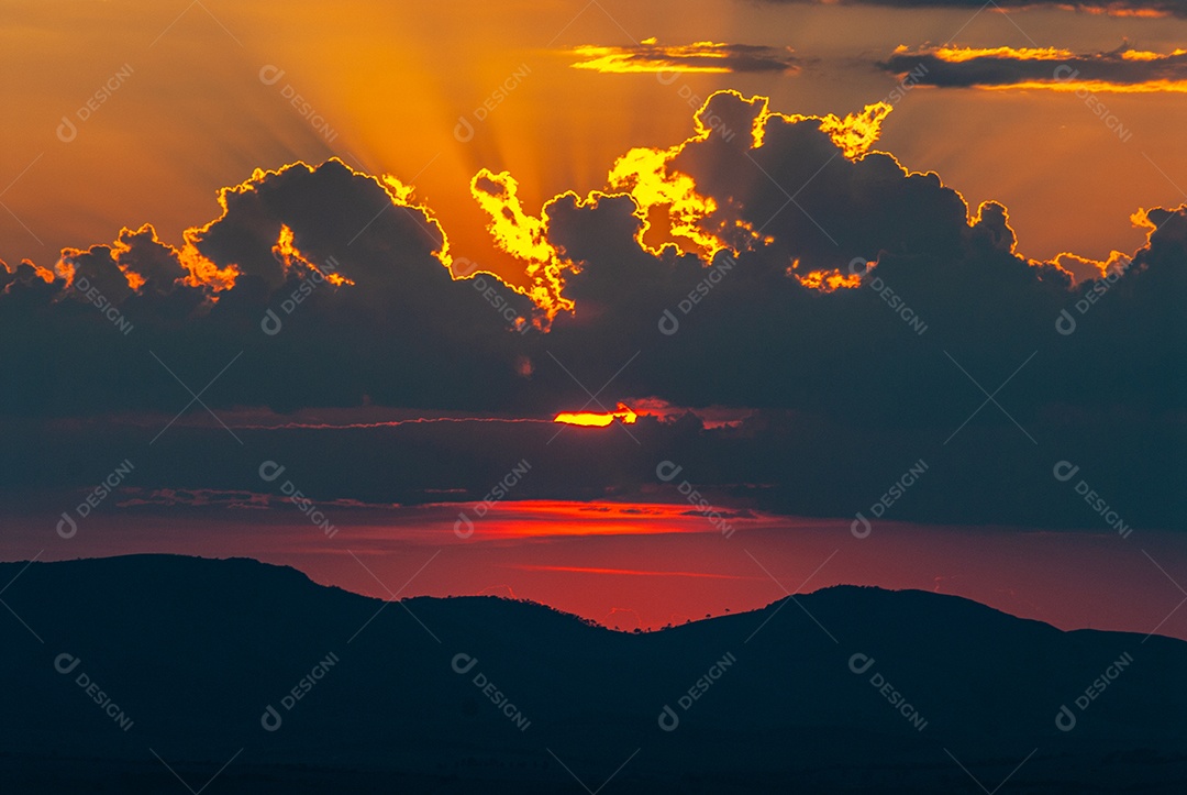 Linda paisagem floresta