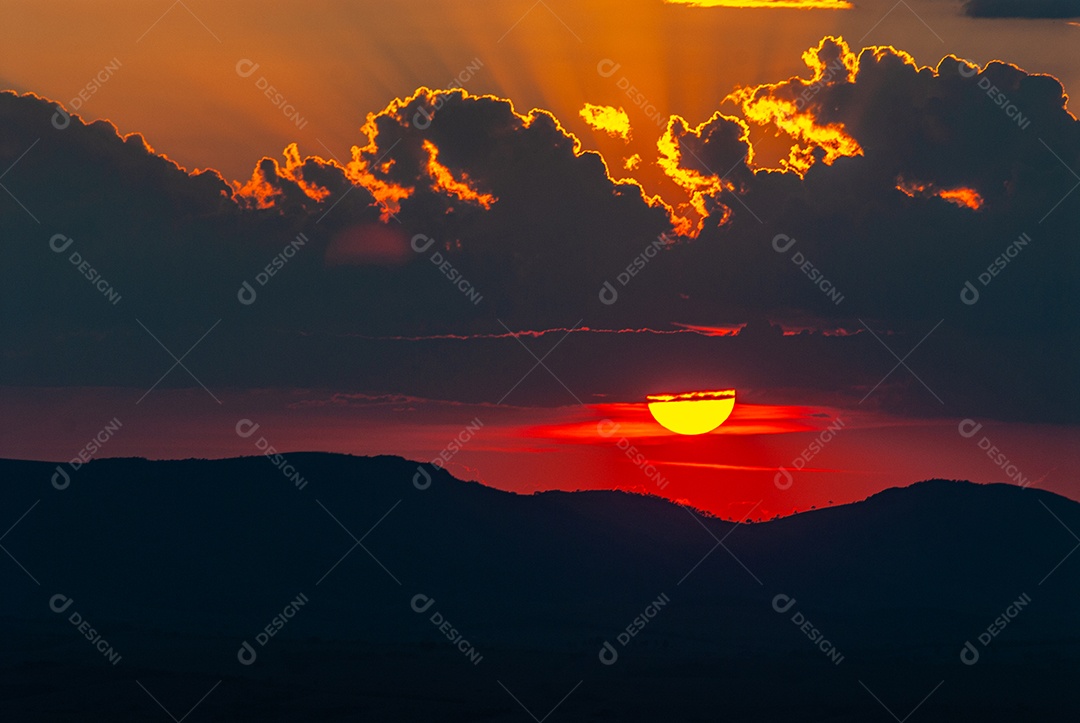 Linda paisagem floresta