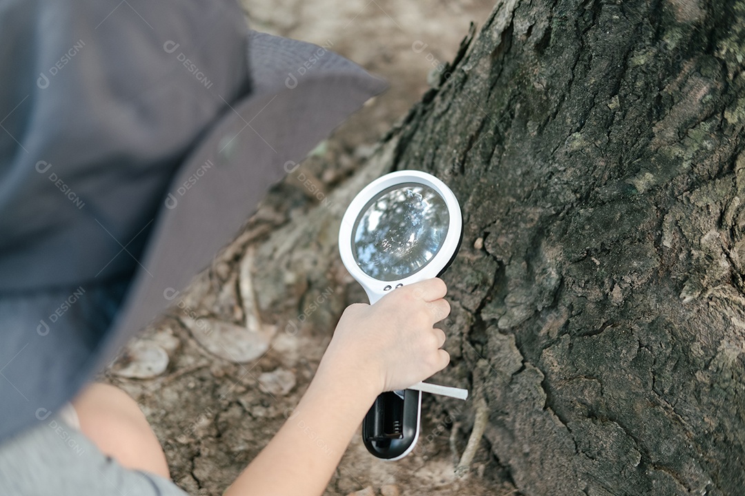 Menino asiático lindo usando chapéu em traje de exploração florestal examinar area da árvore