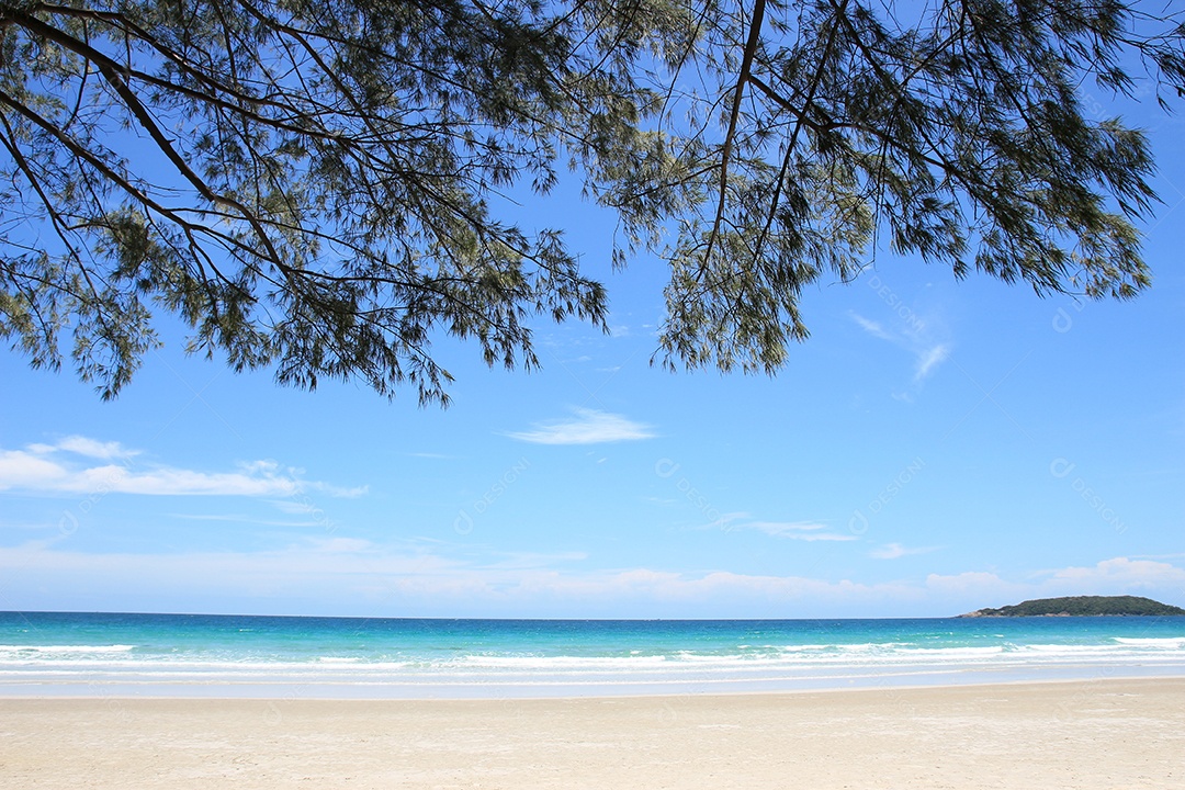 Vista da paisagem natural da bela praia tropical e mar em dia ensolarado com folhas de pinheiro. Área de espaço marítimo de praia para design de verão