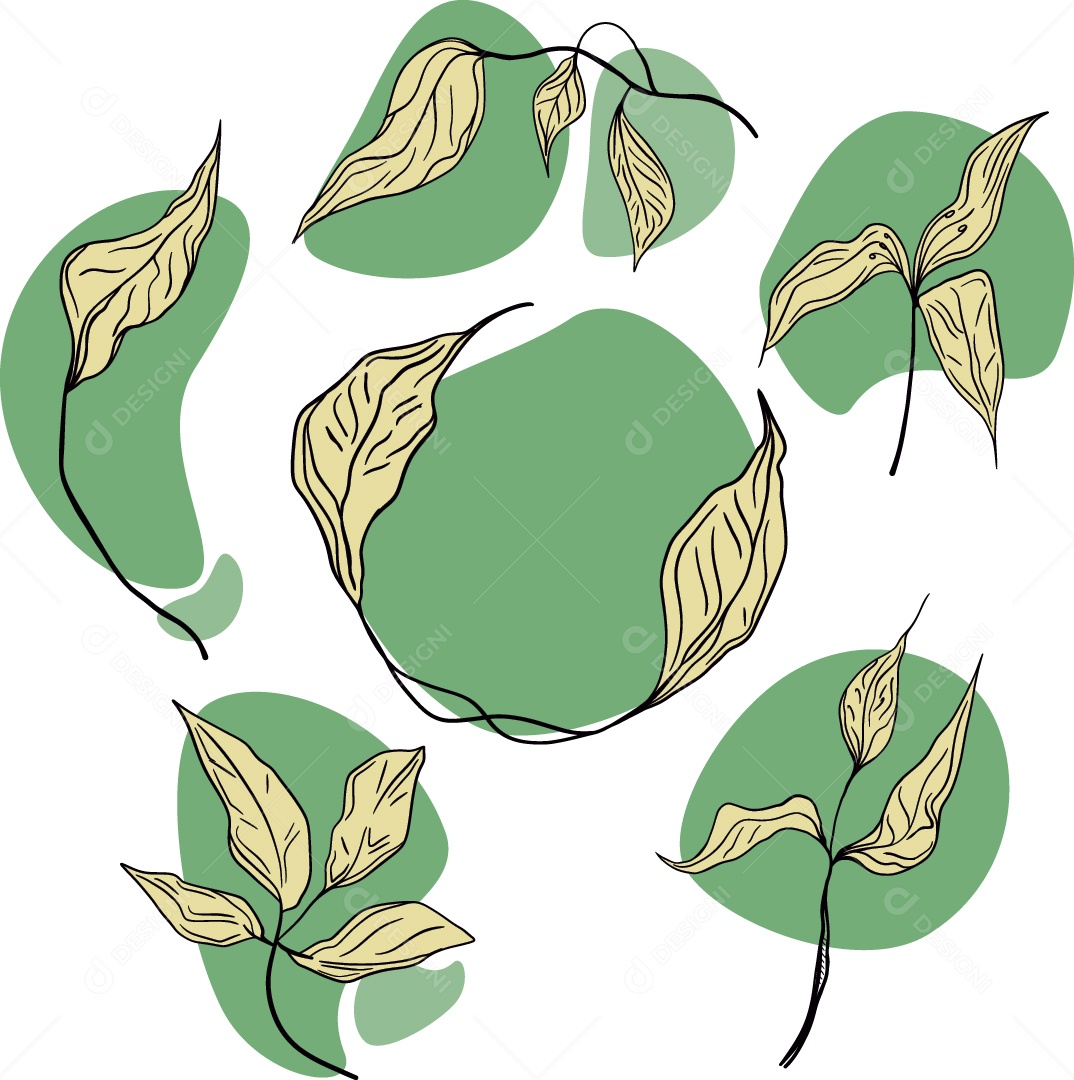 Desenhos de Folhas Ilustração Vetor EPS