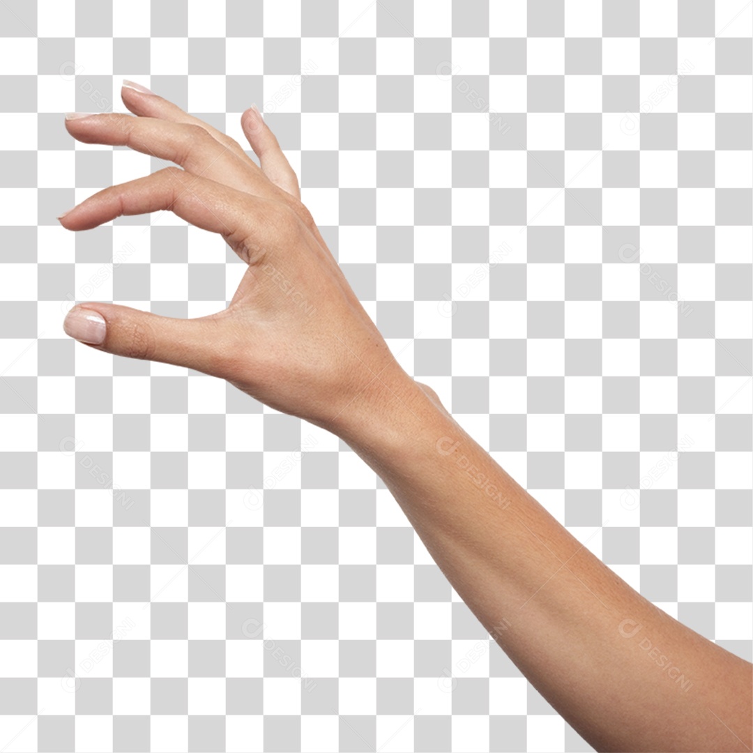 Mão Sinais Sinal PNG Transparente