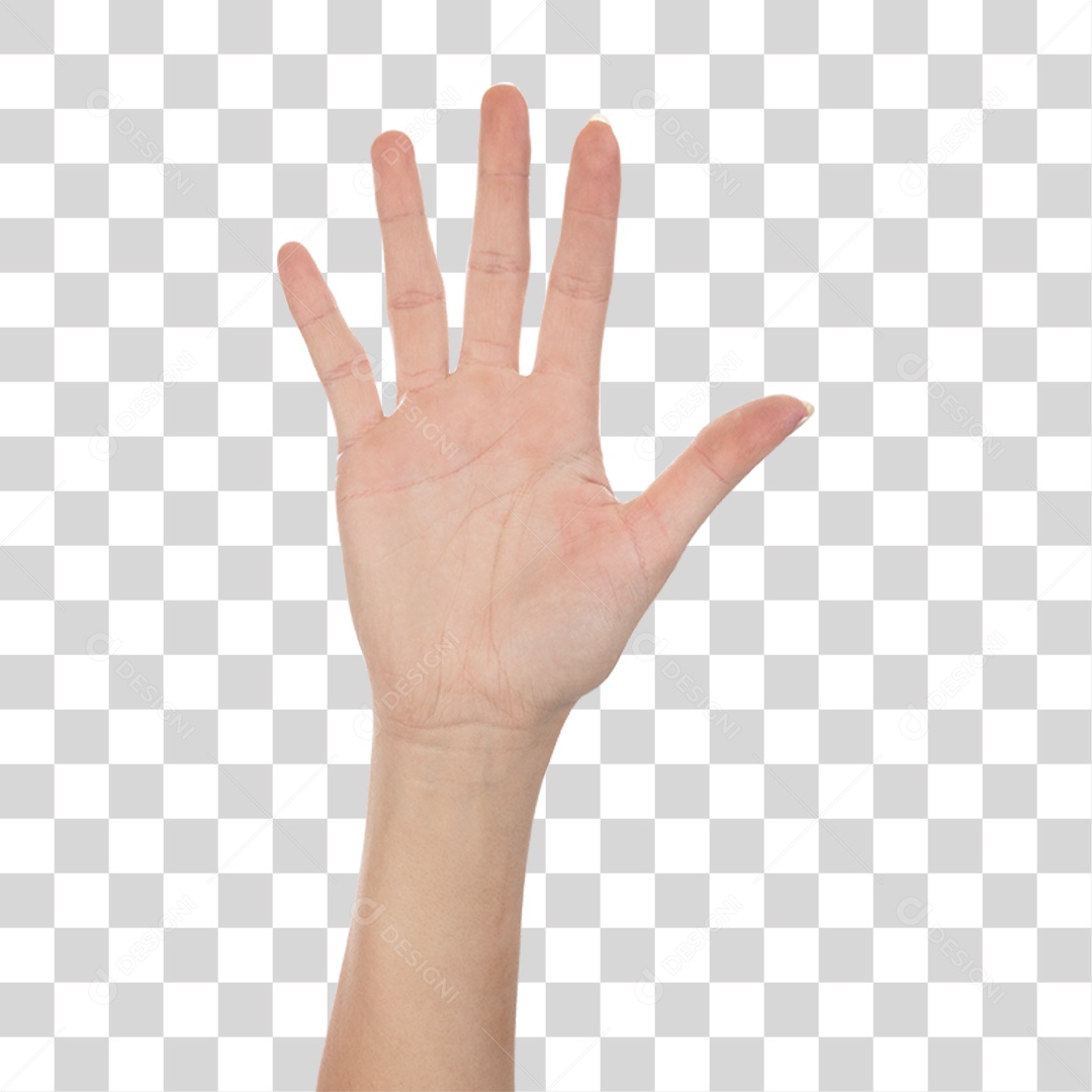 Mão Sinais Sinal PNG Transparente