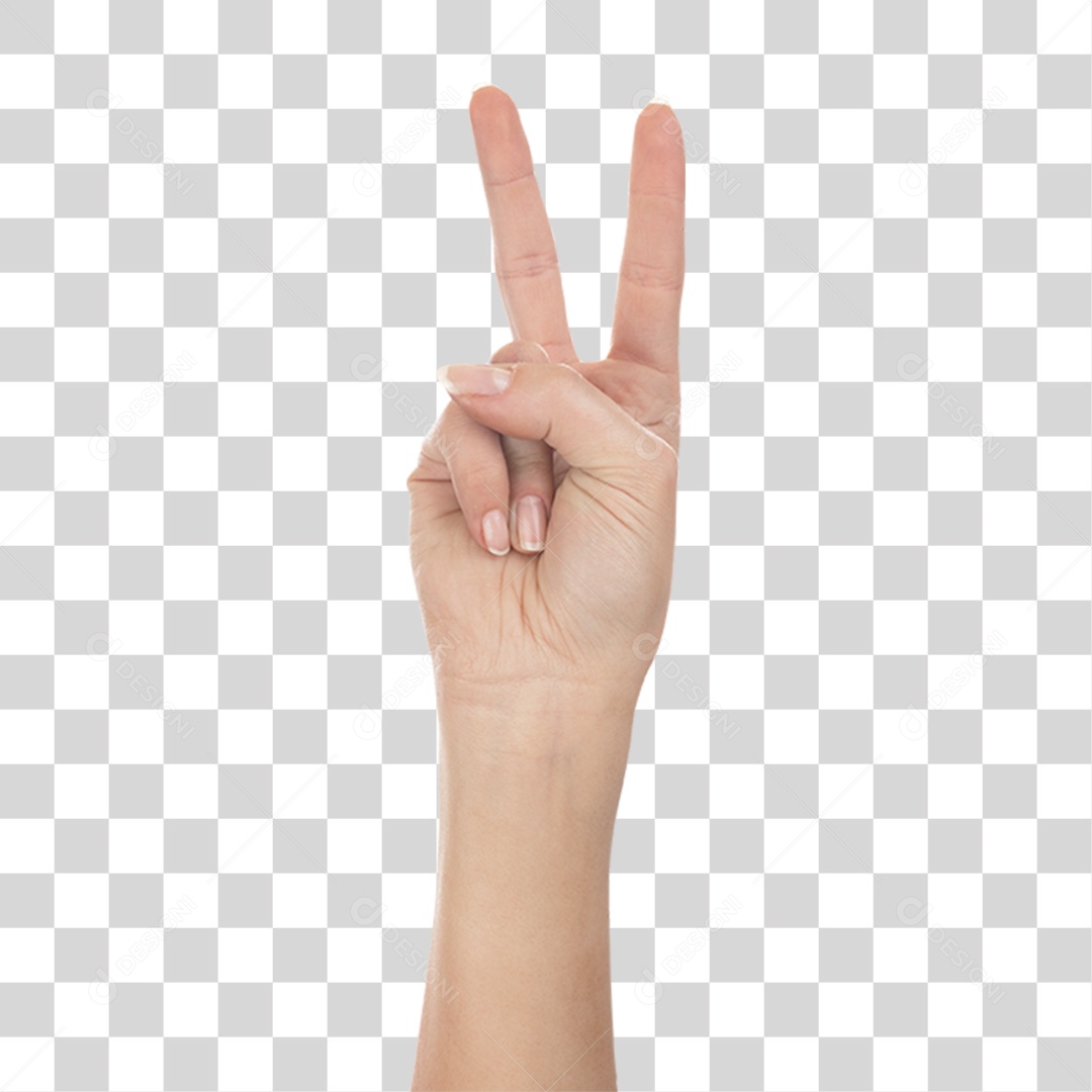Mão Sinais Sinal PNG Transparente