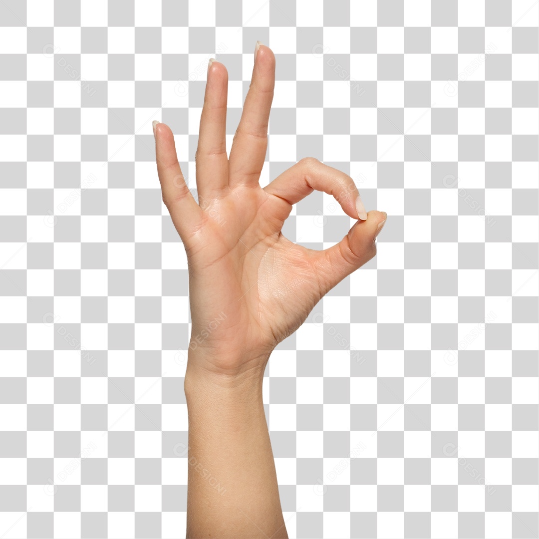 Mão Sinais Sinal PNG Transparente