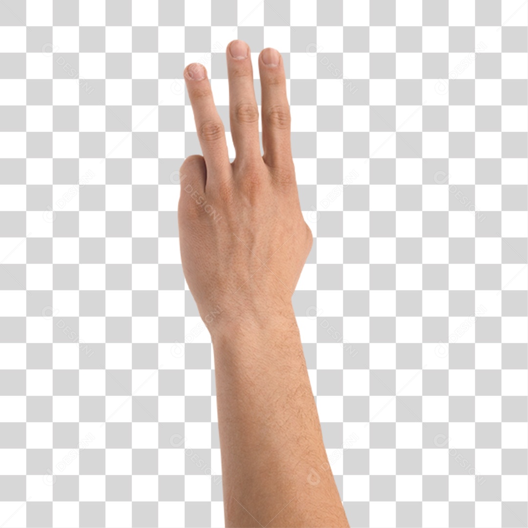 Mão Sinais Sinal PNG Transparente