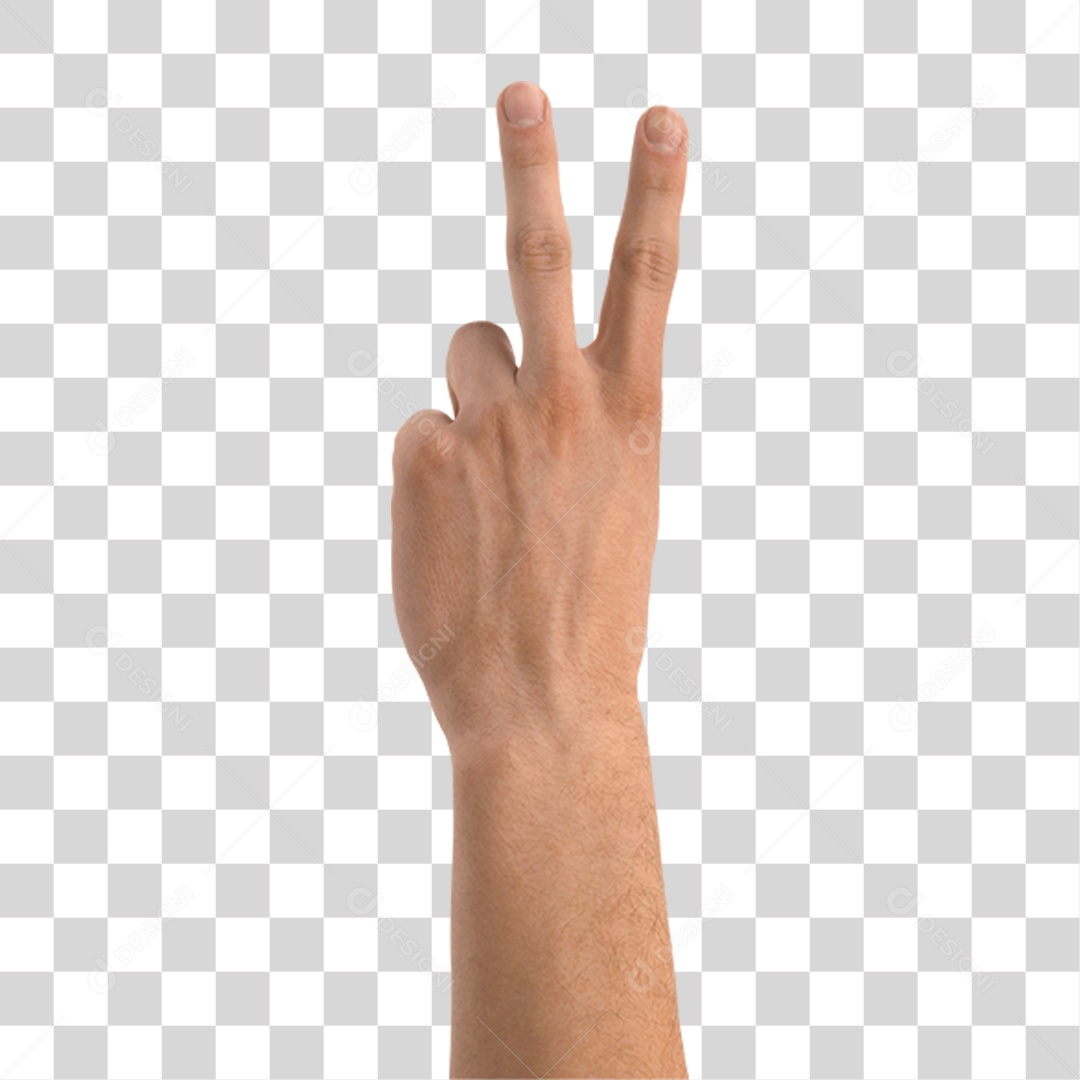 Mão Sinais Sinal PNG Transparente