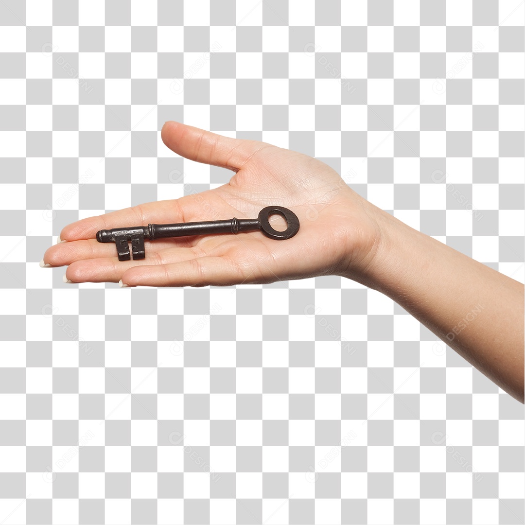 Mão Sinais Sinal PNG Transparente