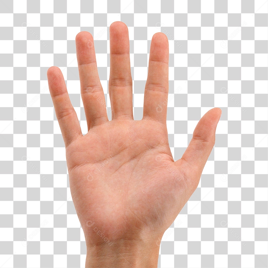 Mão Sinais Sinal PNG Transparente