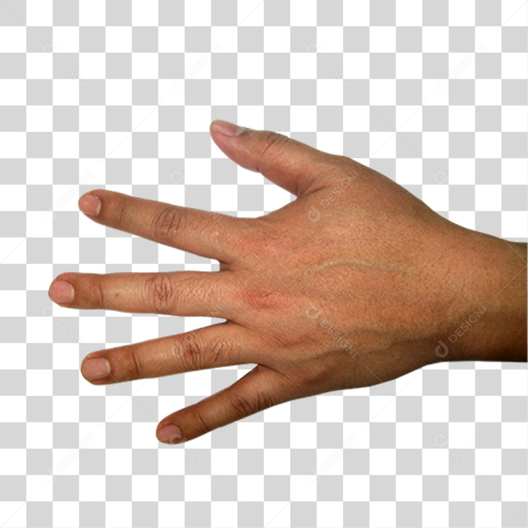 Mão Sinais Sinal PNG Transparente