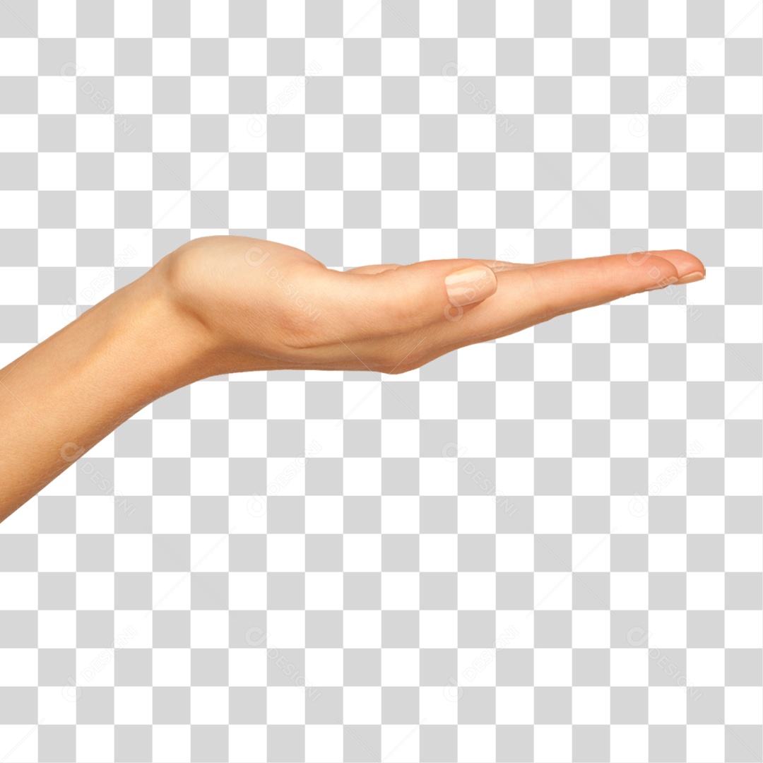 Mão Sinais Sinal PNG Transparente