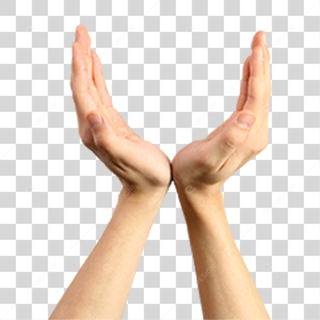 Mãos Sinais Sinal PNG Transparente