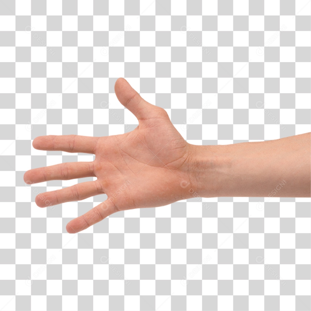 Mão Sinais Sinal PNG Transparente