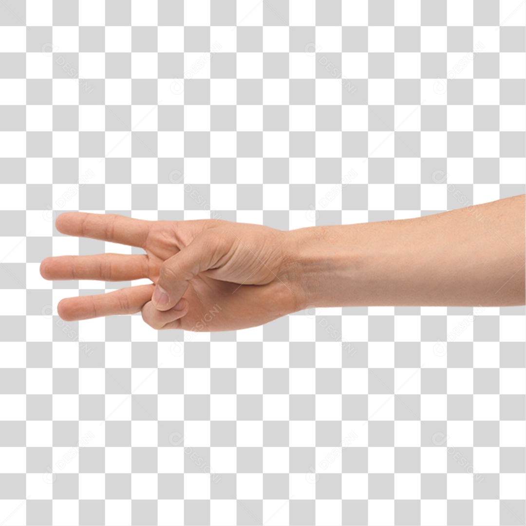 Mão Sinais Sinal PNG Transparente