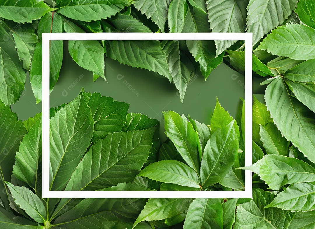 Layout criativo, folhas verdes