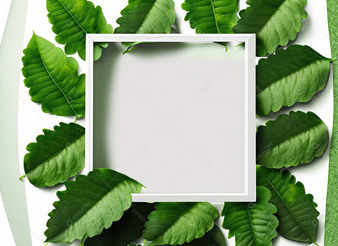 layout criativo, folhas verdes com moldura quadrada branca.