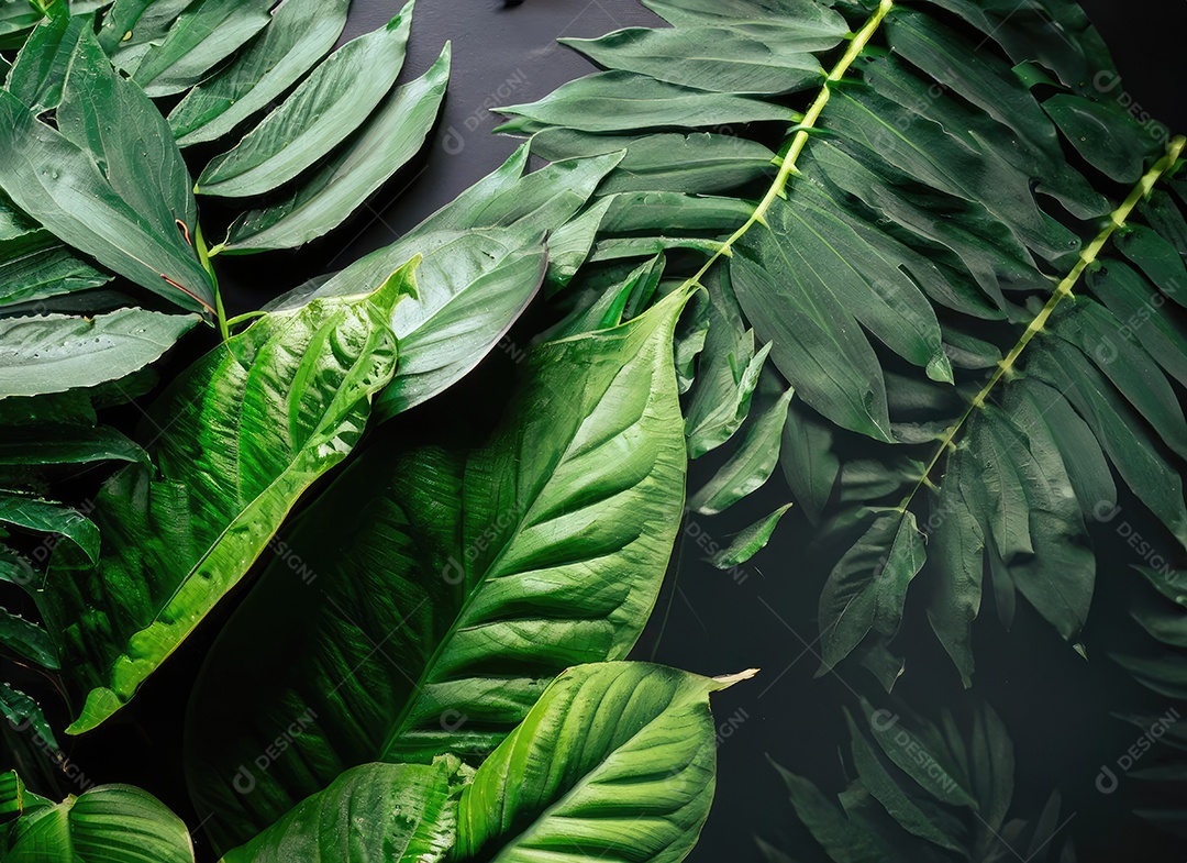 Folhas verdes tropicais