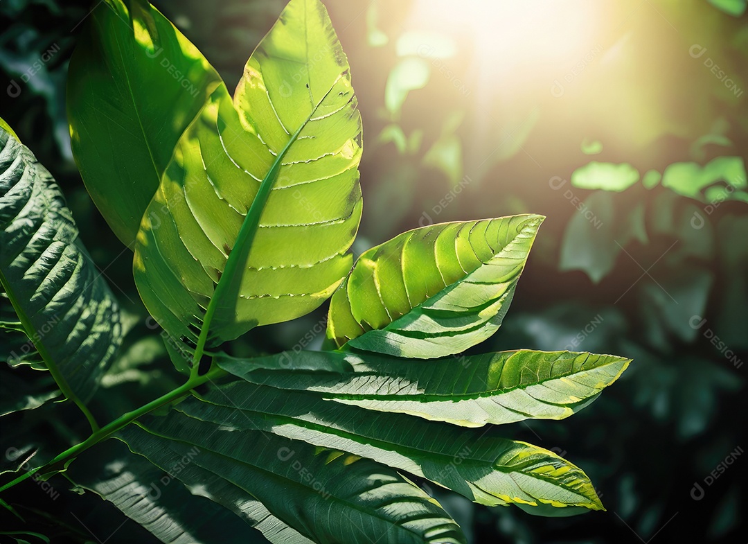 Folhas verdes tropicais