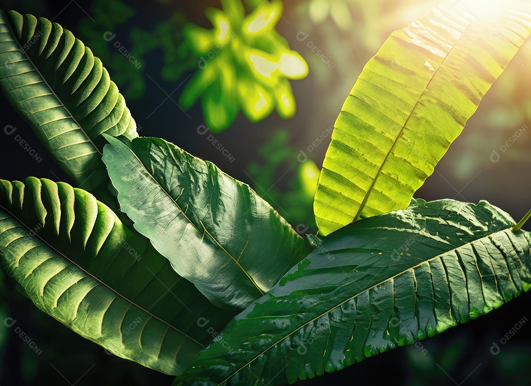 Folhas verdes tropicais