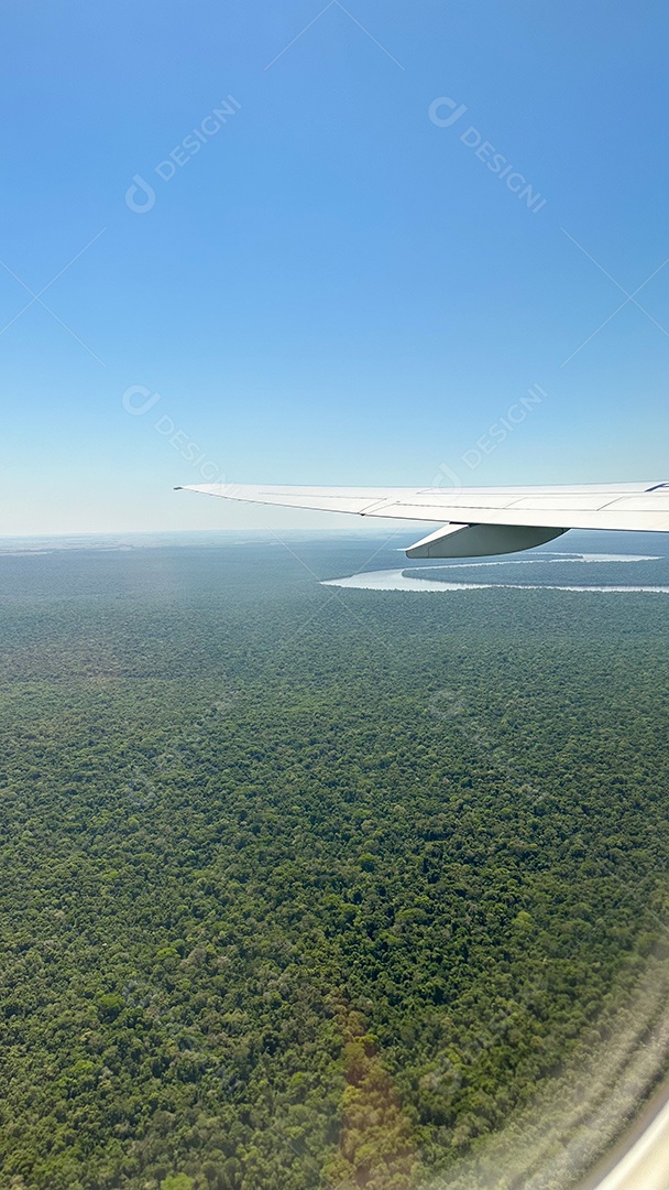 Foto da paisagem verde brasileira e do céu nublado tirada de avião