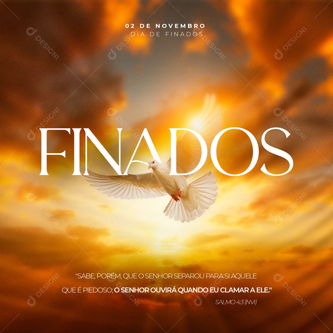 Social Media Dia De Finados 02 De Novembro PSD Editável